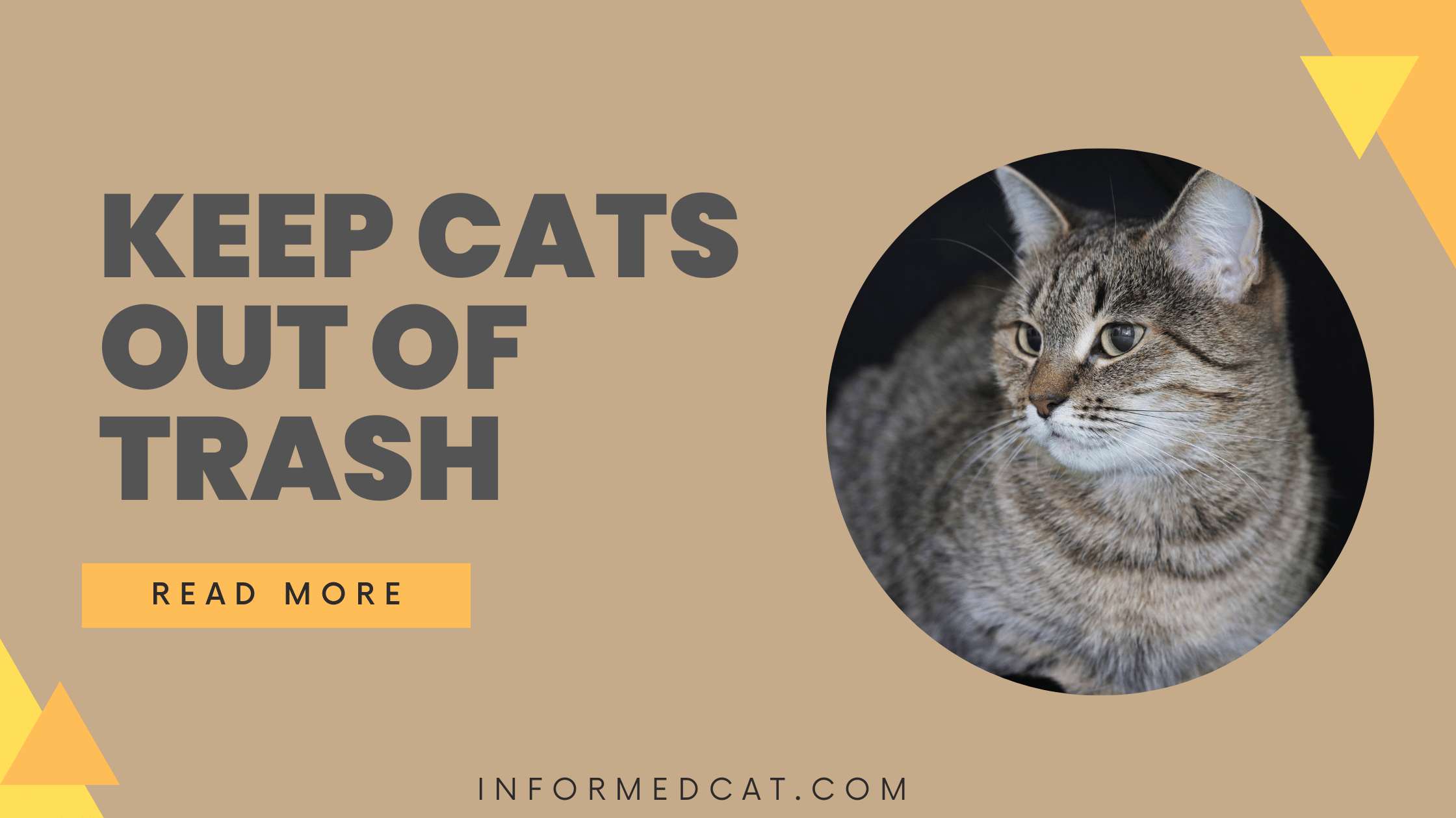 How to keep cats out of the trash?