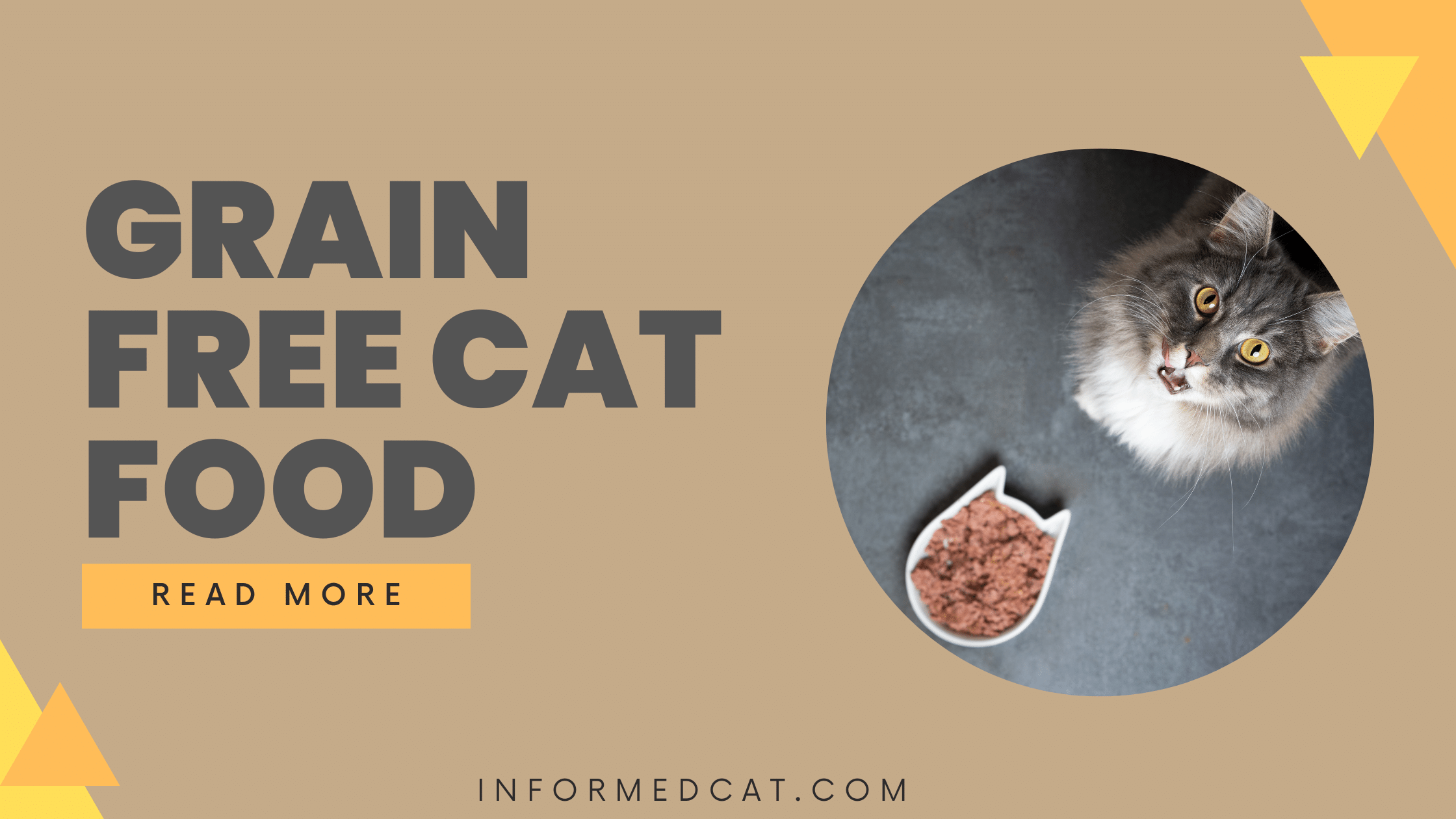 Benefits of grain free cat food