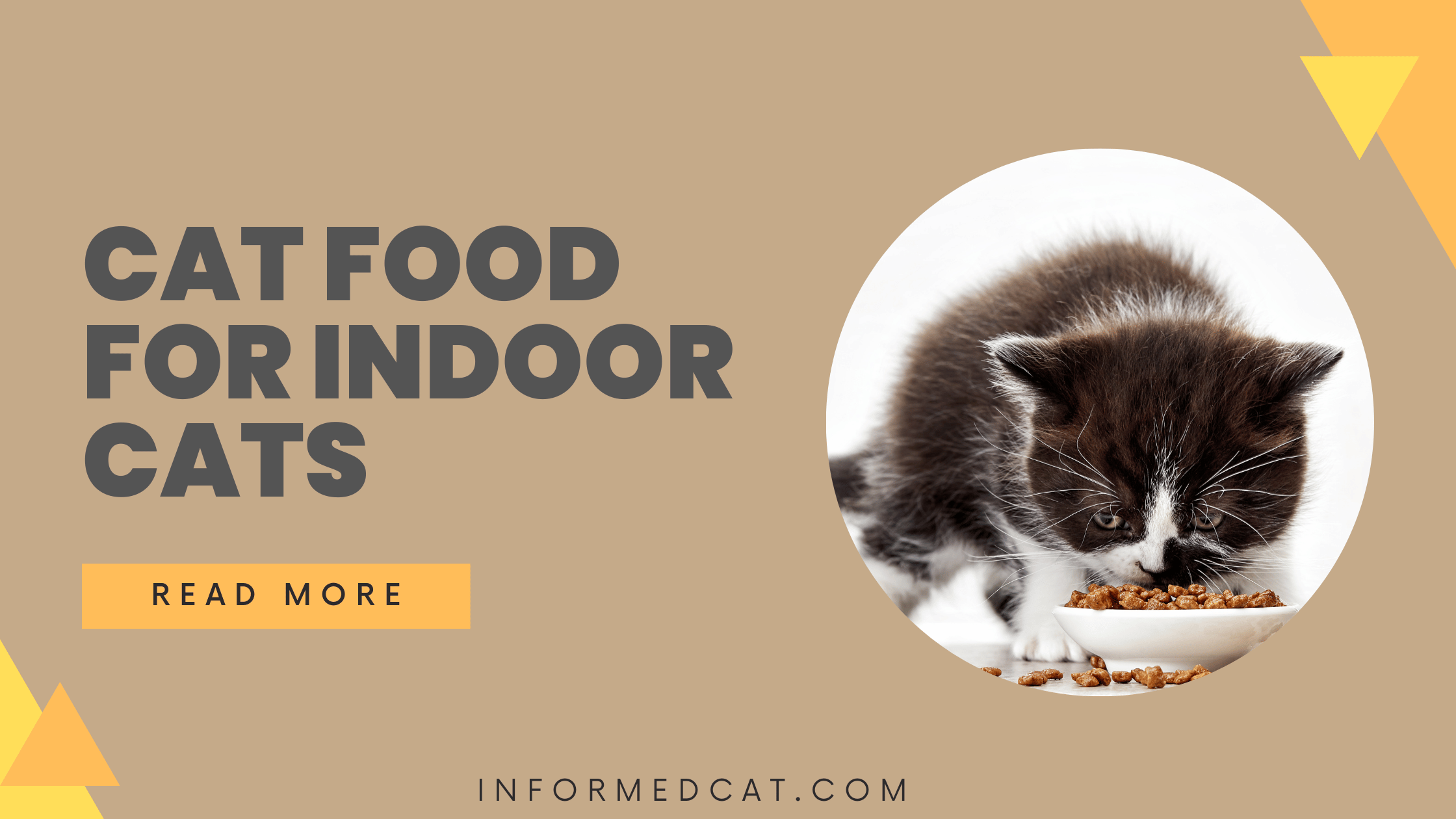 The best cat food for indoor cats
