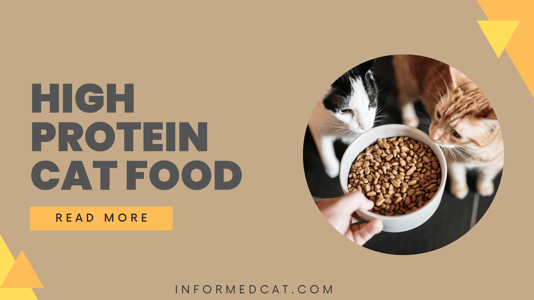 The benefits of switching to a high protein cat food
