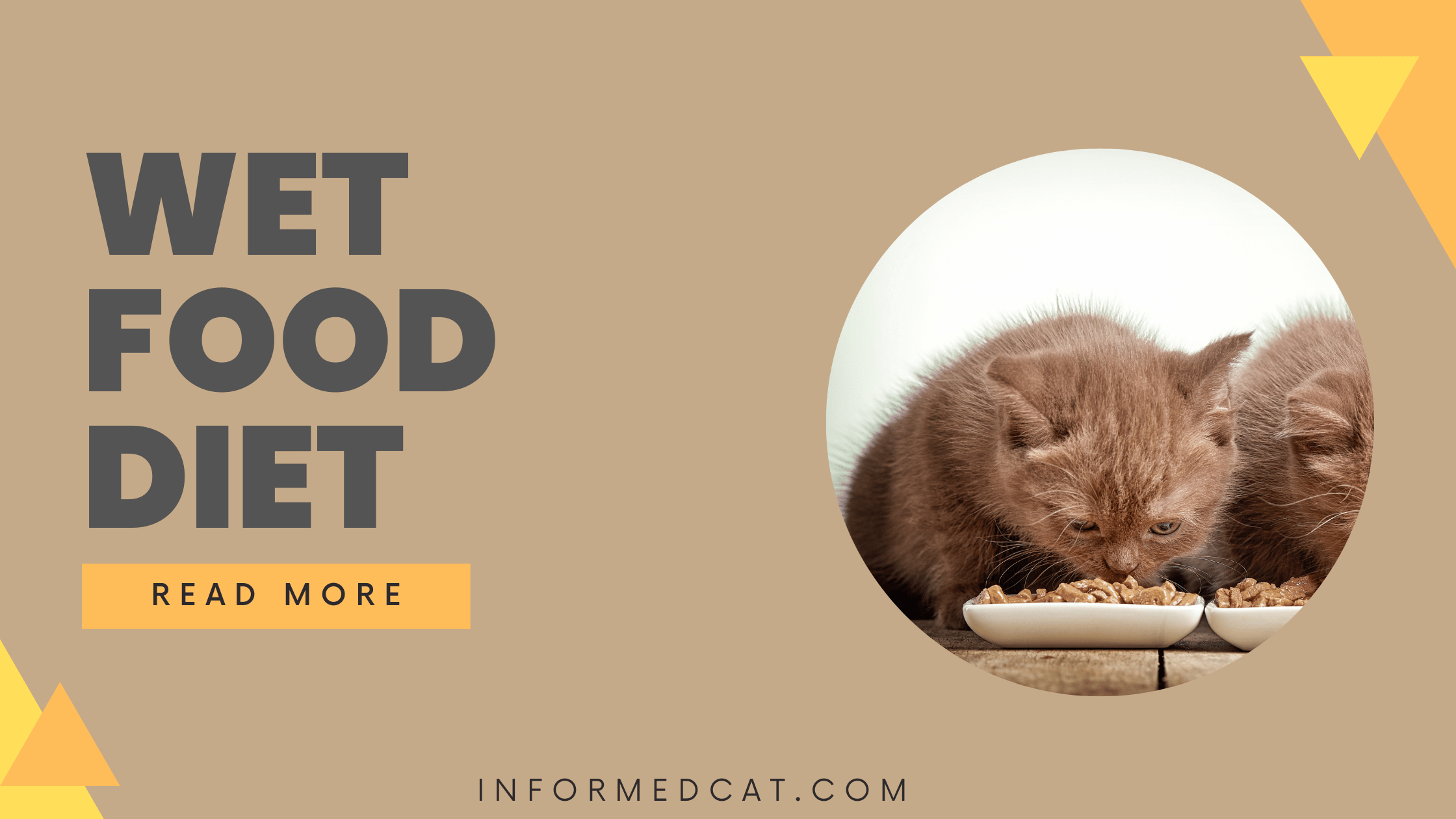 The benefits of feeding your cat a wet food diet
